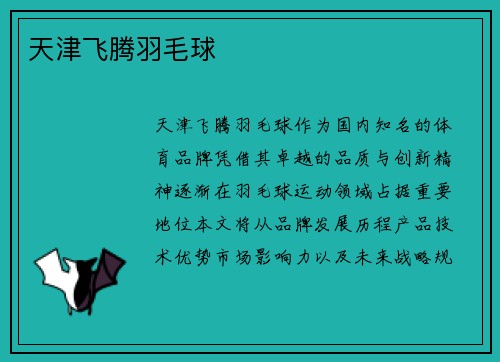 天津飞腾羽毛球